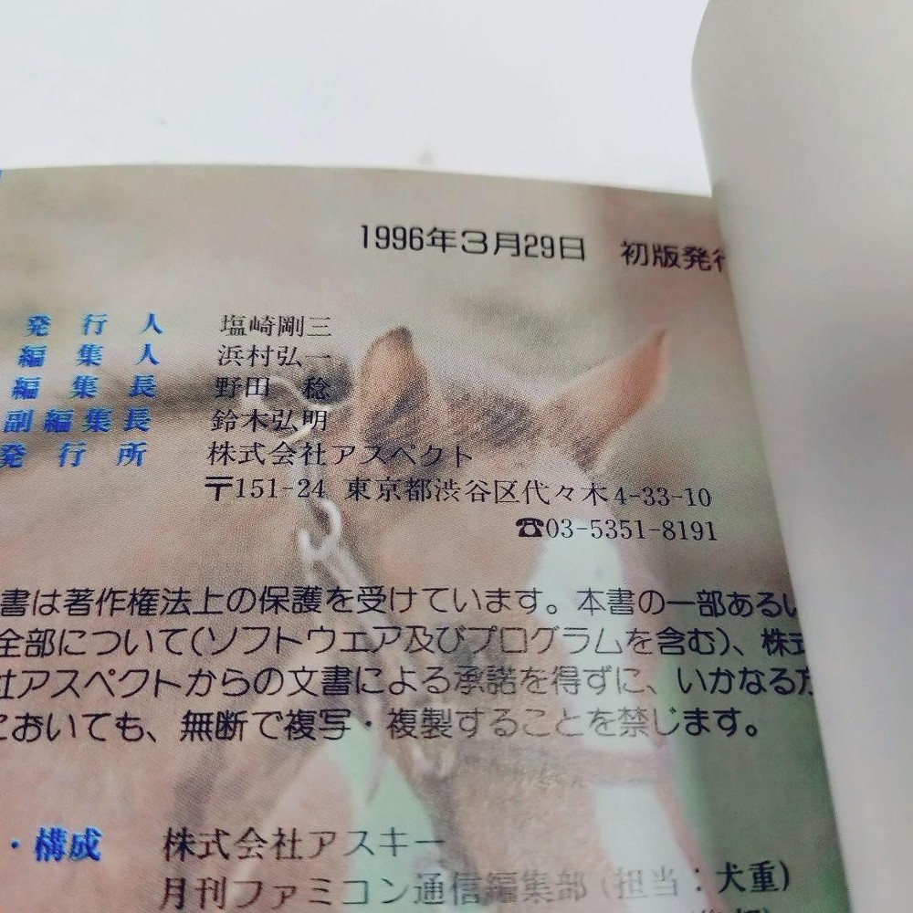 [Good Condition] Derby Stallion 96 Beginner's Guide