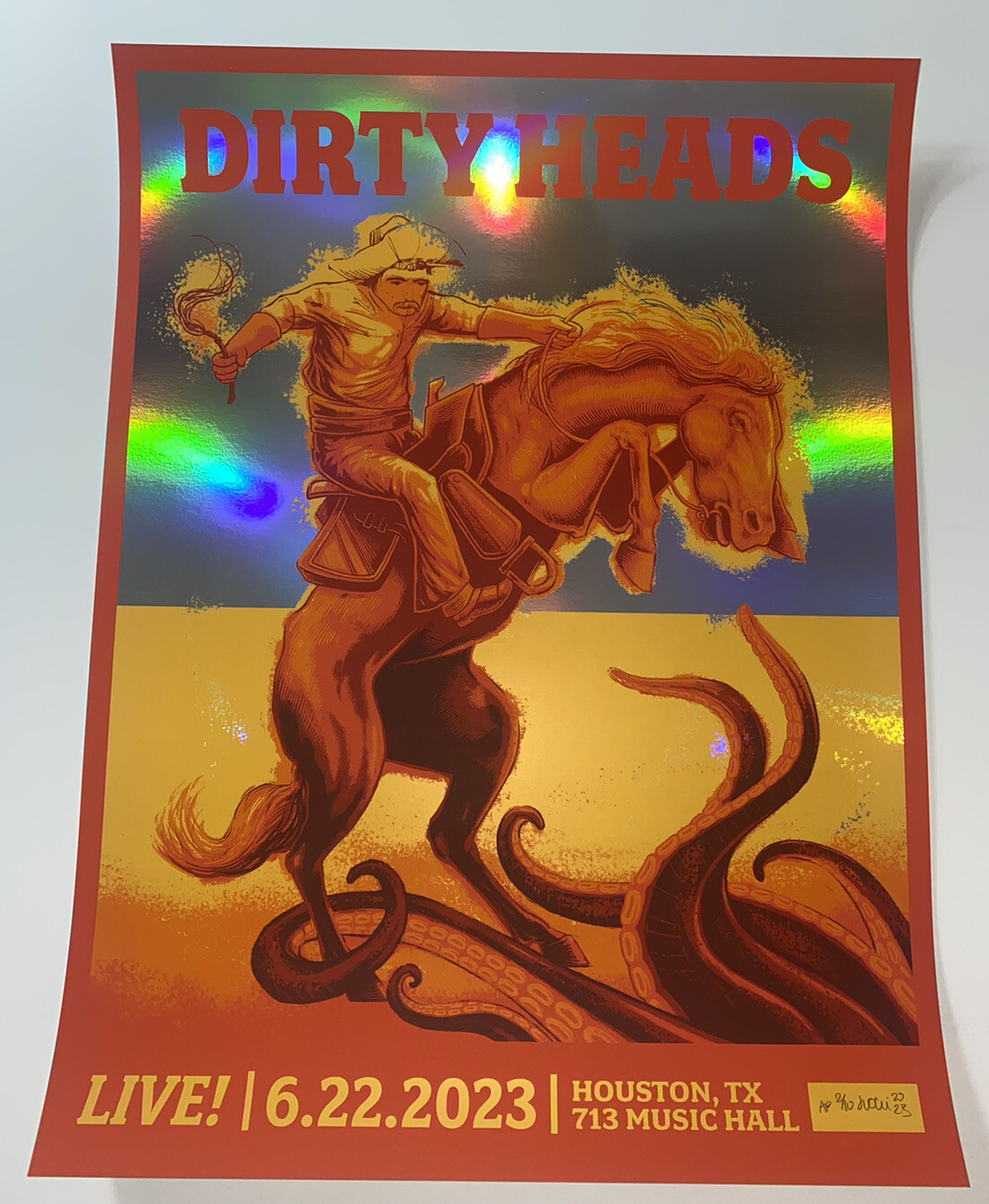 Dirty Heads Poster 713 Music Hall Houston TX 23 Silkscreen FOIL Low Run S/N X/10