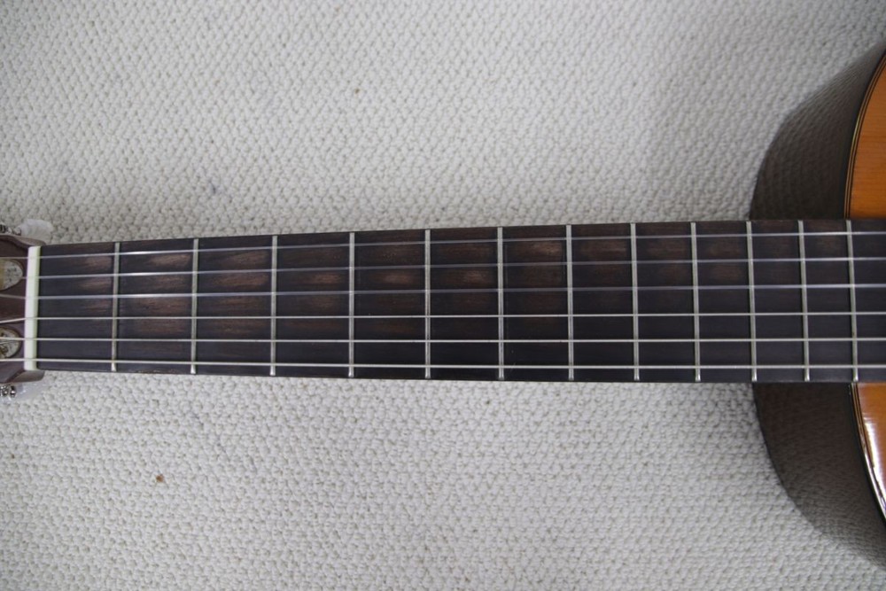 Yamaha CG-120A Classical Guitar Hard Case