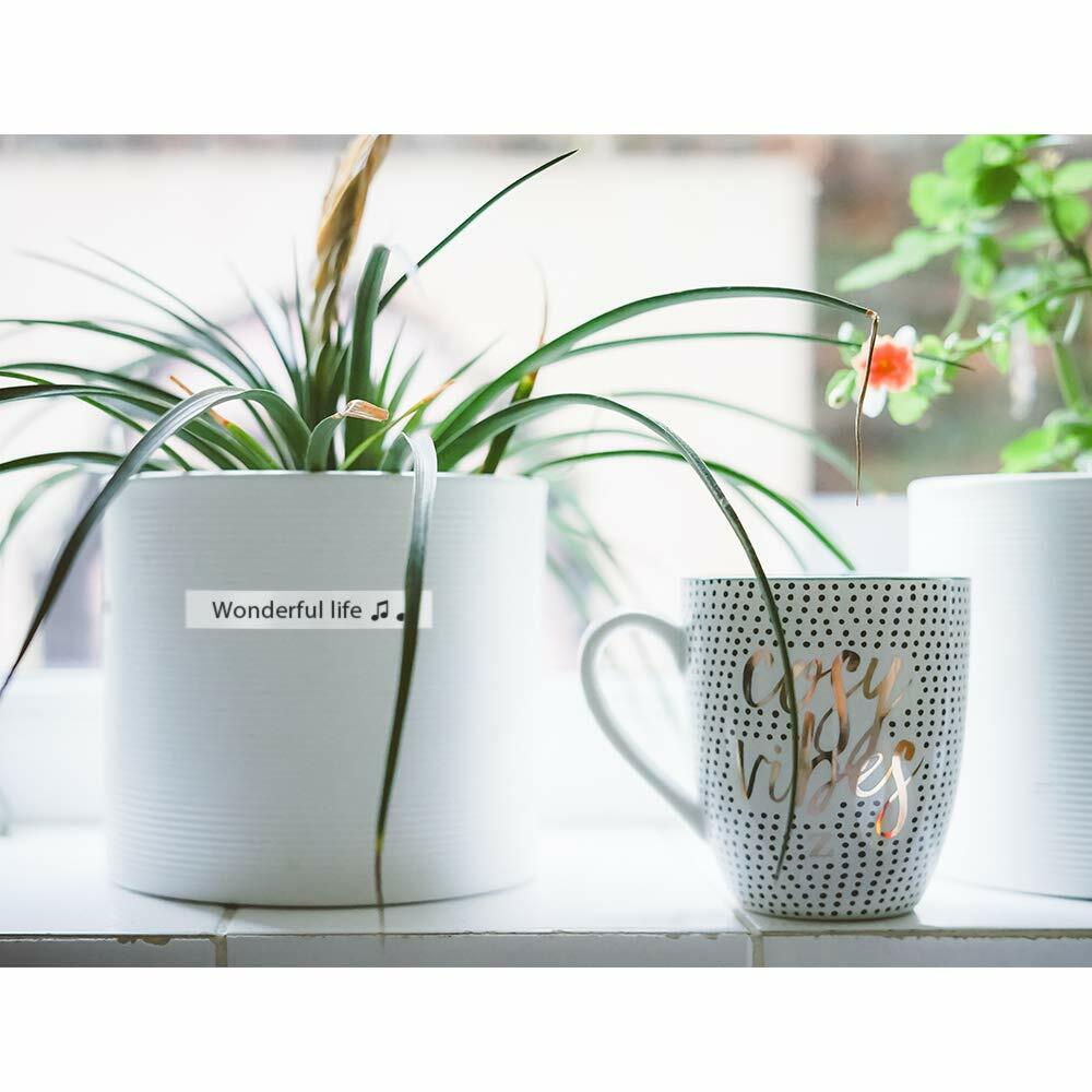 10PK Dymo LetraTag Refills White Plastic 91331 for LetraTag Label Maker LT-100H