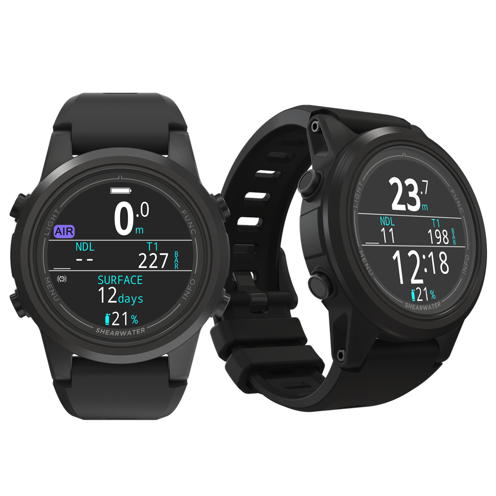 Shearwater - Tern and Tern TX