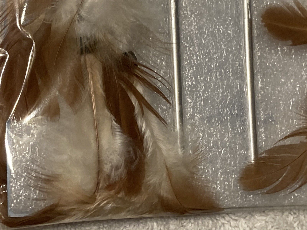 Dream Catcher, NIP.