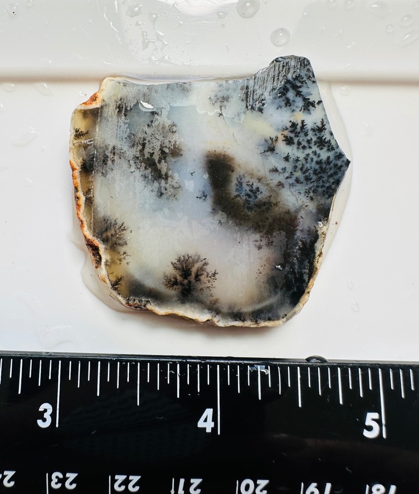 Dendritic Plume Agate Small Slab, 28 grams, Lapidary/Cabbing