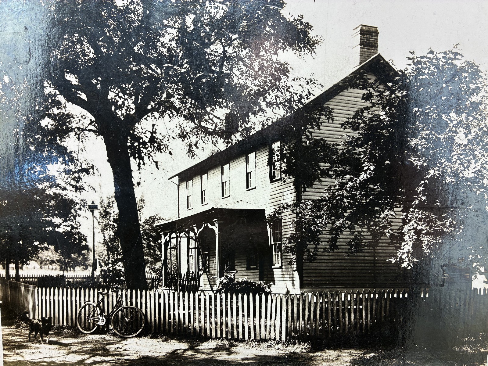 1900s Farm Family Rural Life History Muskingum County Ohio Typed Diary Memoir