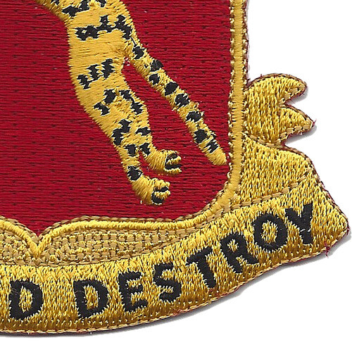 138th Armored Cavalry Regiment Patch