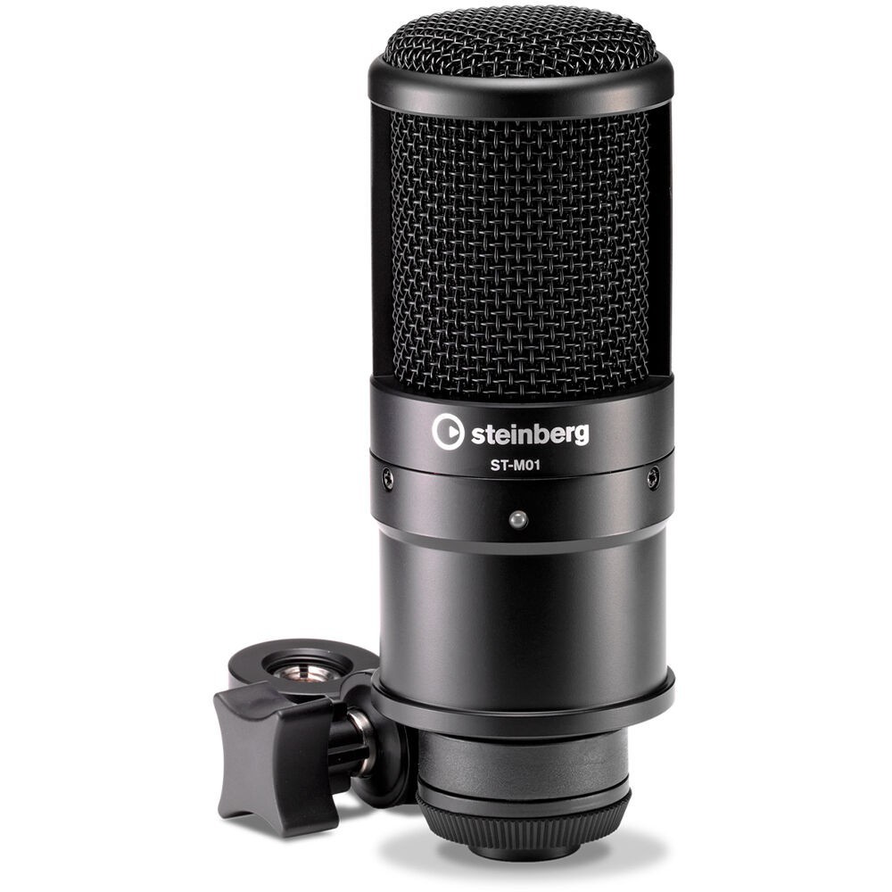 Steinberg UR12B PS Podcast Audio Interface, Microphone, Stand, Pop Filter, Cable