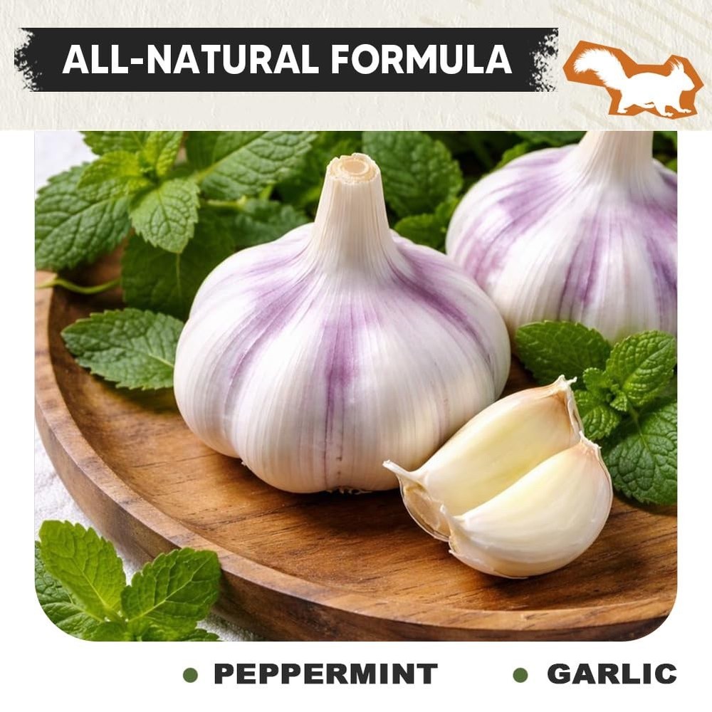 KQCWKH Squirrel keep out of