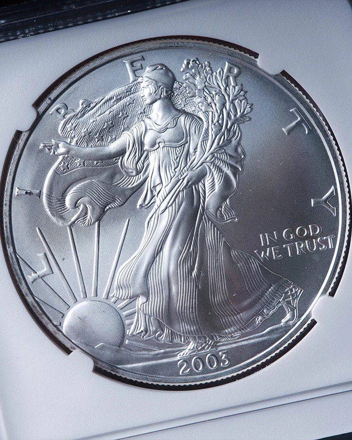 2003 Silver Eagle | Mint Error MS69 Reverse Struck Thru