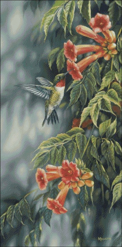 Summer Ruby Hummingbird - Chart Counted Cross Stitch Patterns Needlework DIY