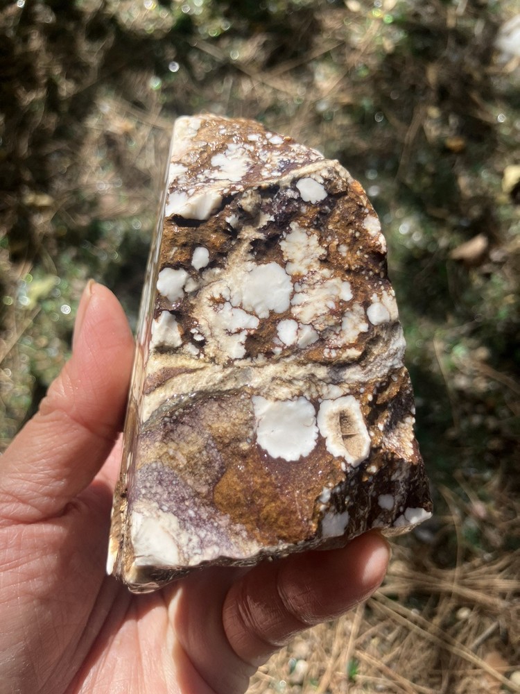 Wild Horse Specimen (Rough)
