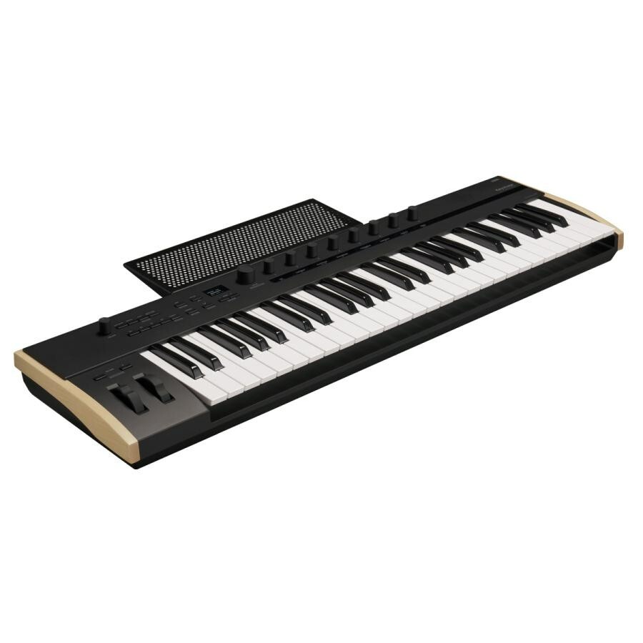 Korg Keystage-49 MIDI Keyboard Poly Aftertouch Controller MIDI2.0 49-Keys