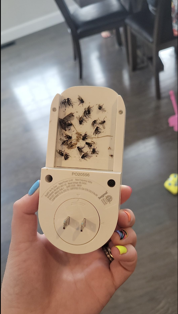 BugMD No Fly Zone Refillable UV Bug Zapper, Mosquito Zapper, Flying Insect Trap