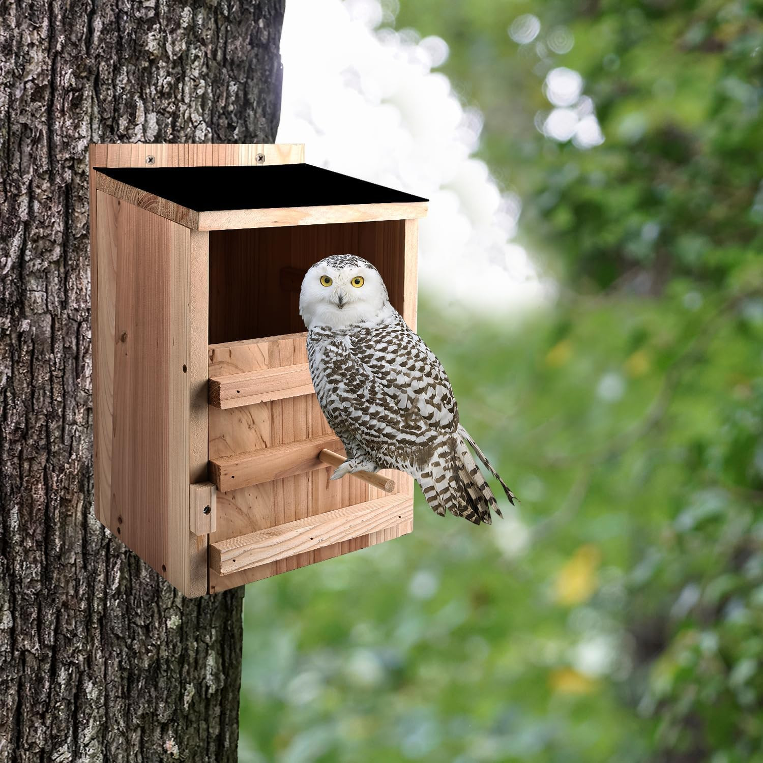Owl House Premium Cedar Wood Screech & Barn Owl Nesting Box - Large Handmade Bir