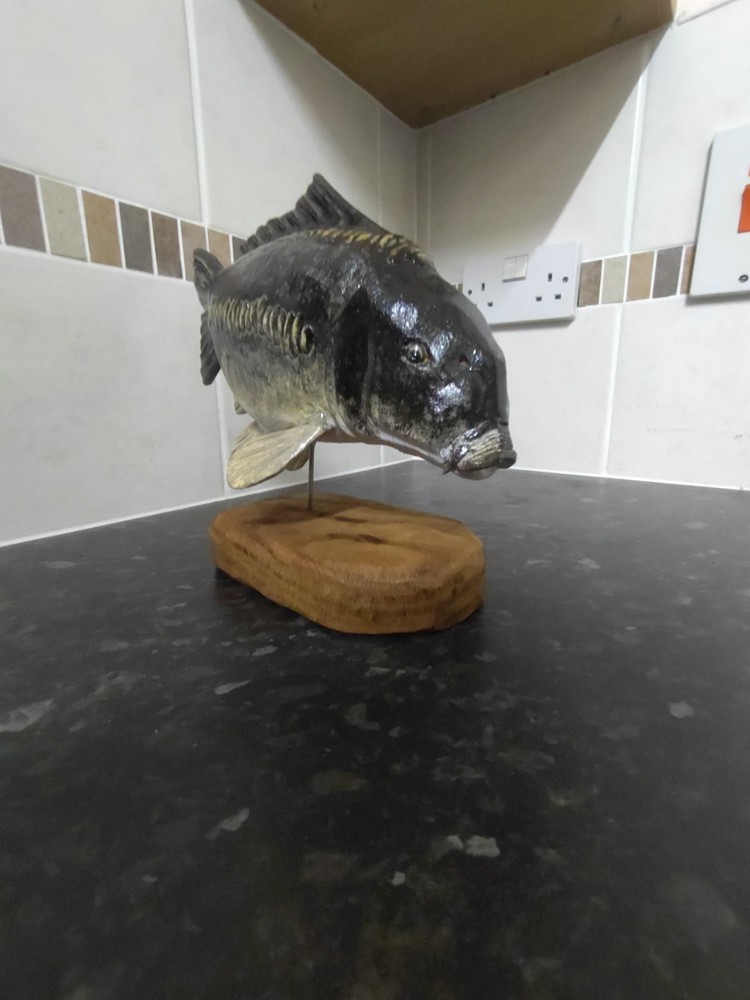 Carp Fishing, linear Carp statue