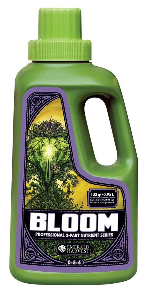 Bloom (1 Quart)
