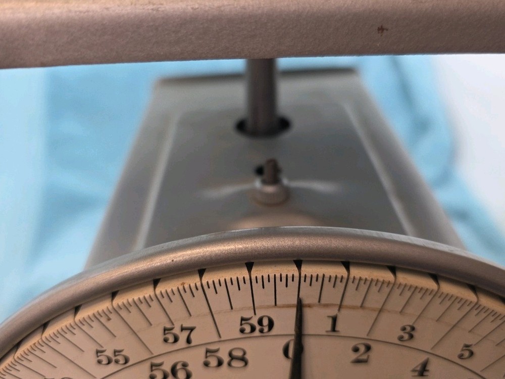 Vtg Hanson Model 2060 Utilty Scale