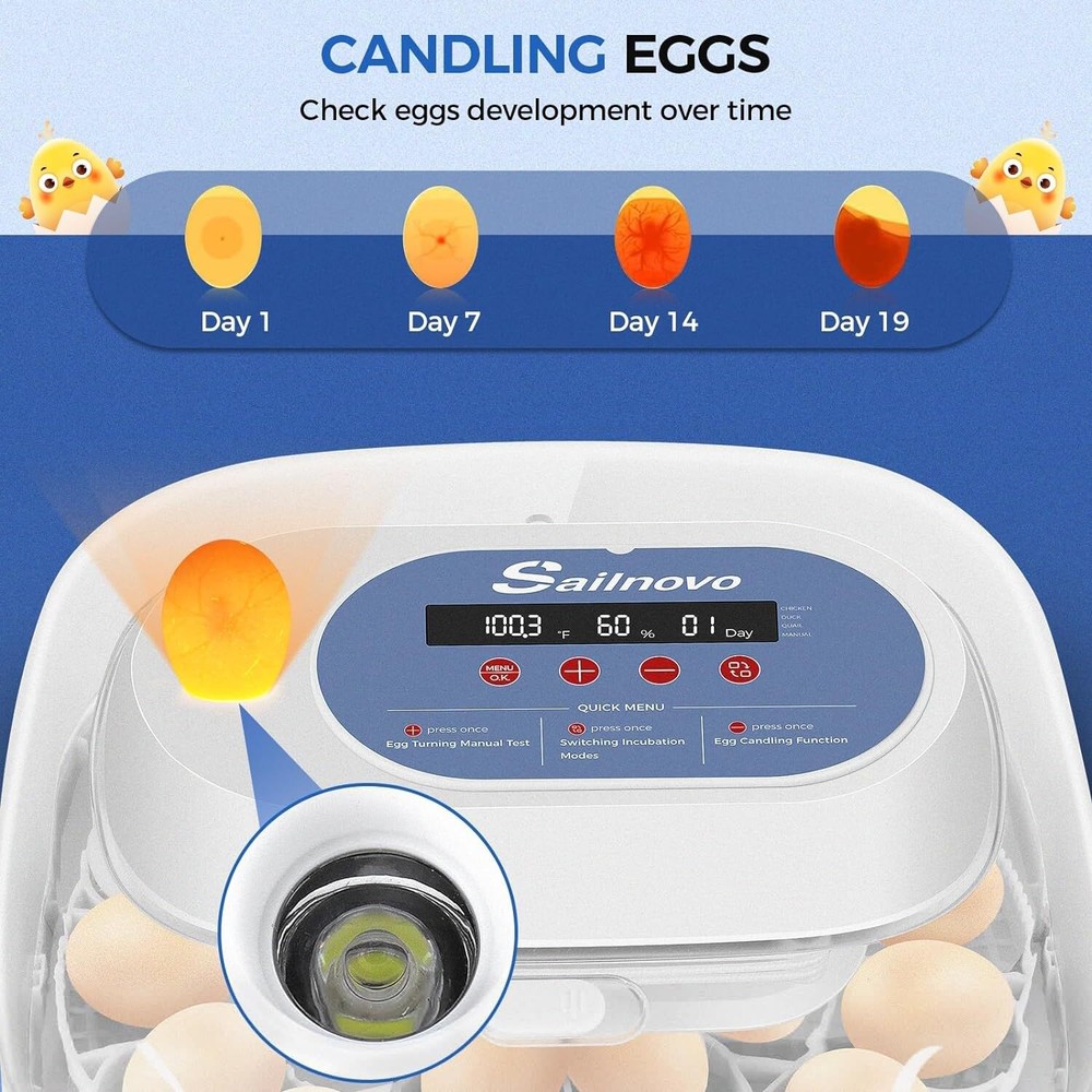 24 Eggs Incubators w/Automatic Egg Turning, Egg Candling and Humidity Display💎