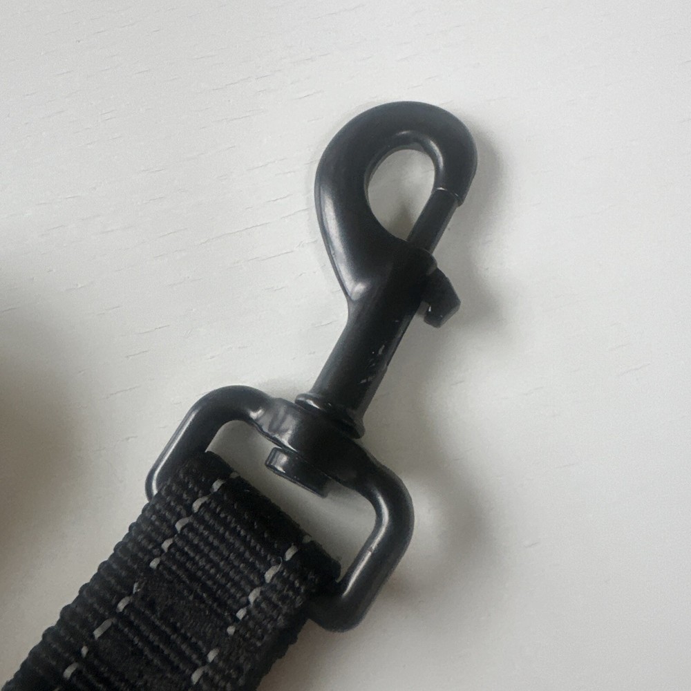 Dog Training Elastic Leash (before Sketch 36”)