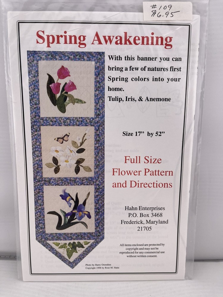 Hahn Enterprises Spring Awakening Wall Banner quilt pattern