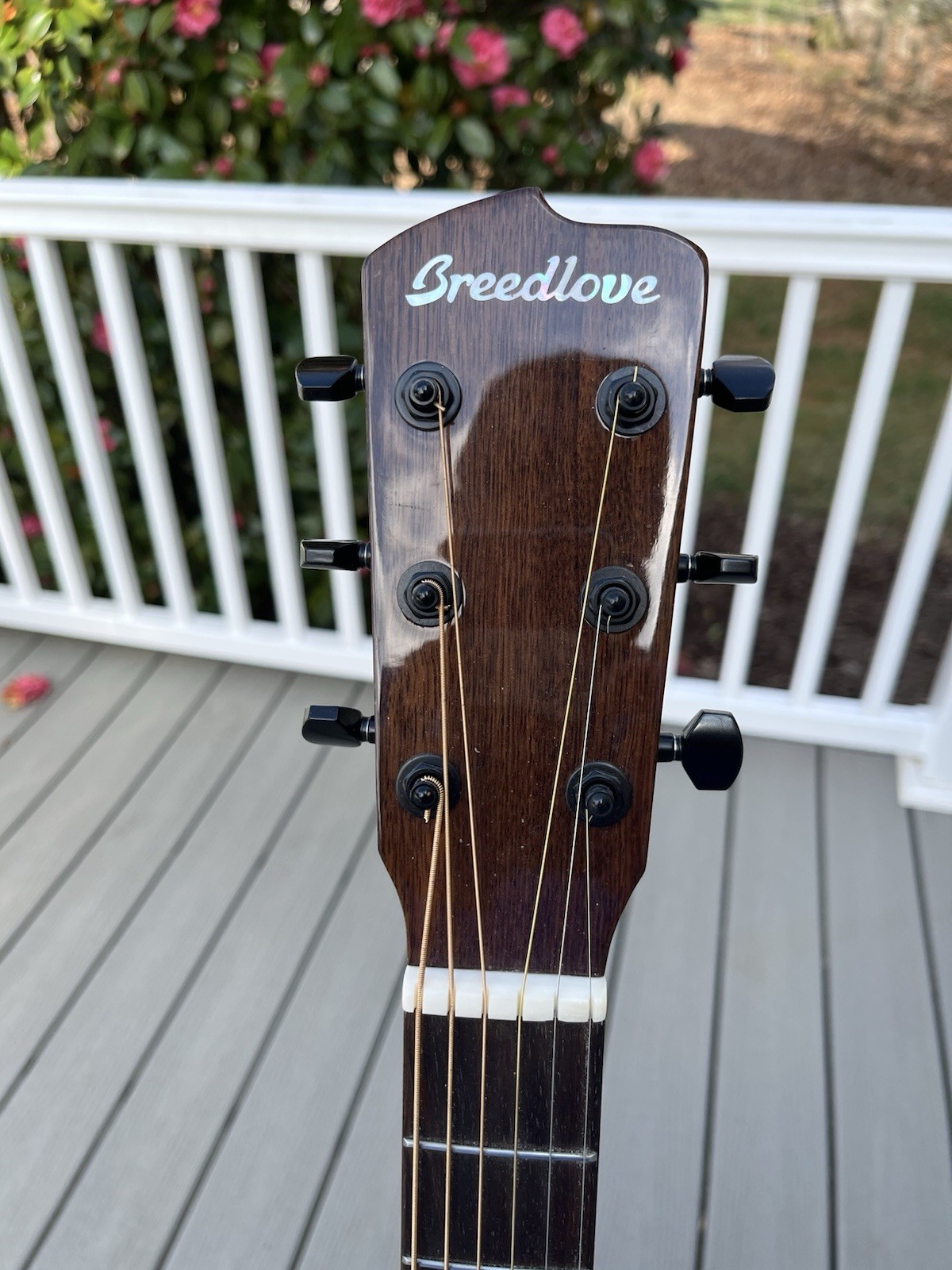 Breedlove concerto copper CE- all solid woods!