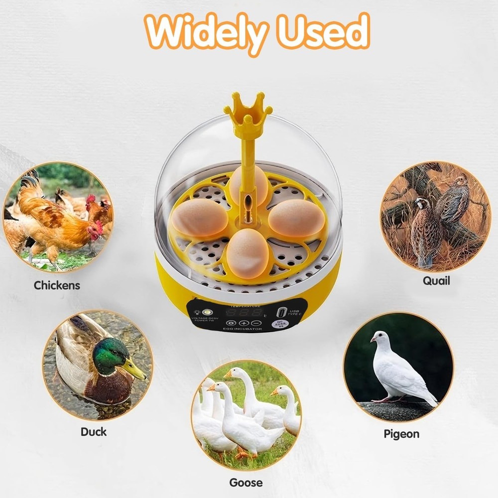 4 Eggs Mini Incubator with Transparent Lid,7W Automatic Temperature Humidity ...