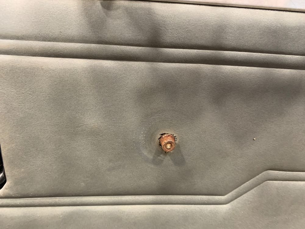 Peterbilt Door (606-13187)