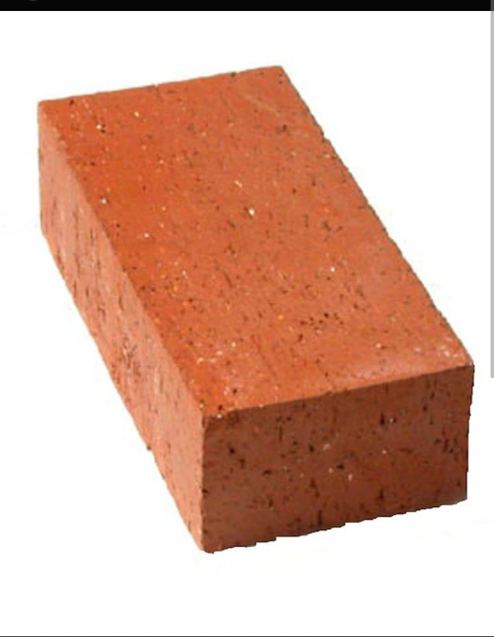 Leftist Bricks