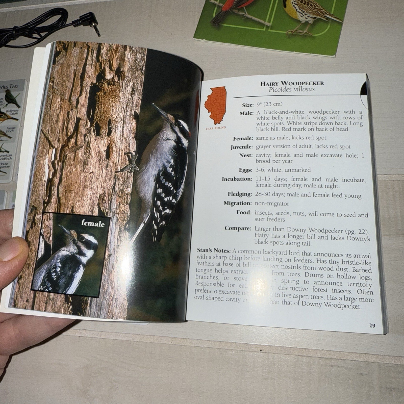 Lot 3 Bird Song IdentiFlyer ALL TESTED WORKING Yardbirds, Frogs, Night Bird Read