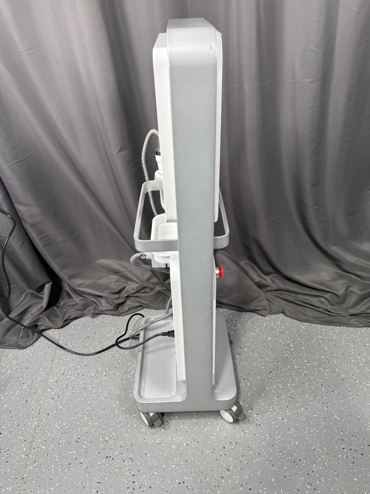 2019 Vivace Fractional Micro Needle RF