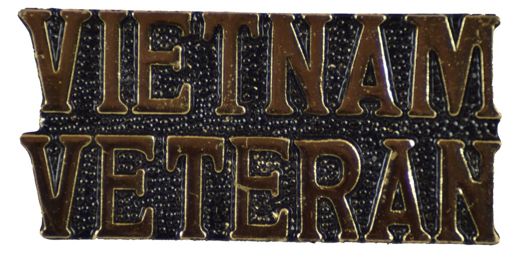 VIETNAM VETERAN HAT PIN