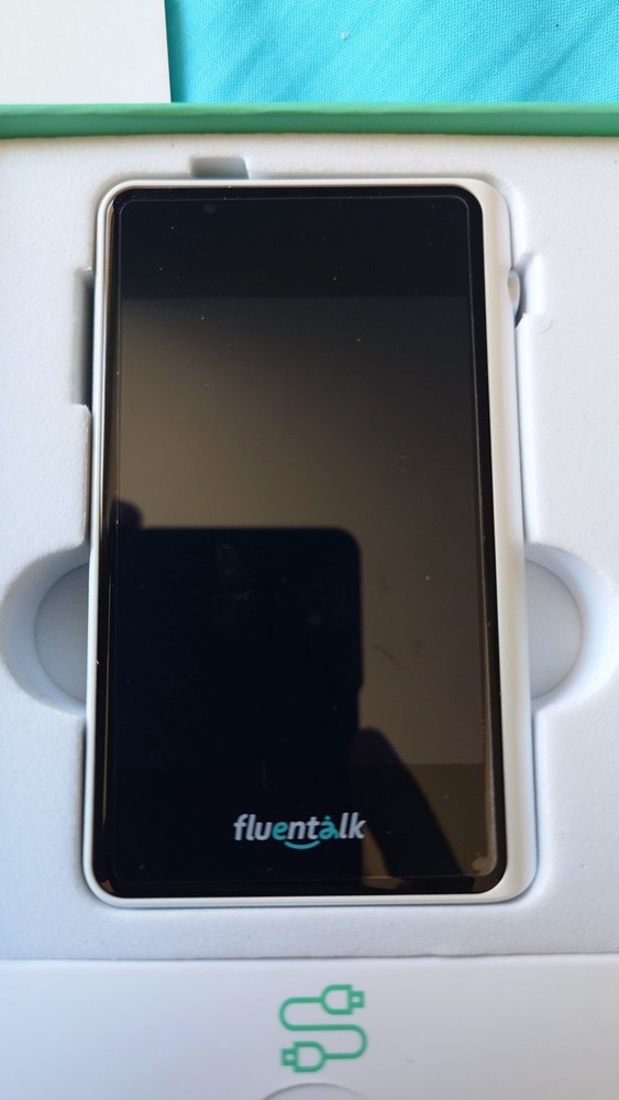 Fluentalk T1 Mini Translator by Timekettle, No WiFi Needed