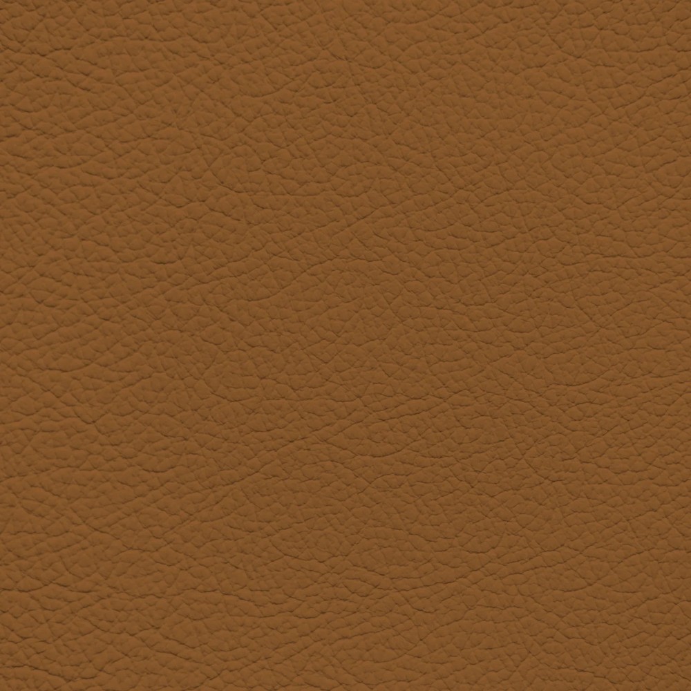 BMW Saddle Brown Leather Dye