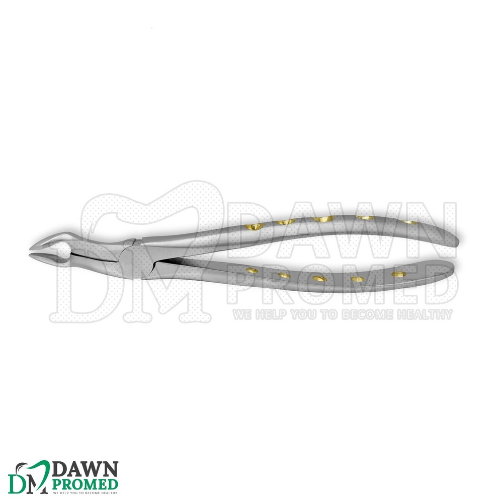 Dental Extracting Forceps #67A Gold Hollow Python Grip Handle German Grade