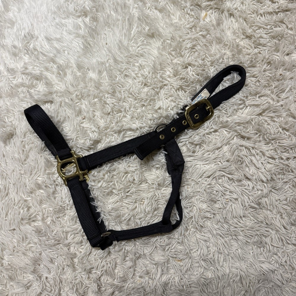 Medium Navy Nylon Horse Halter