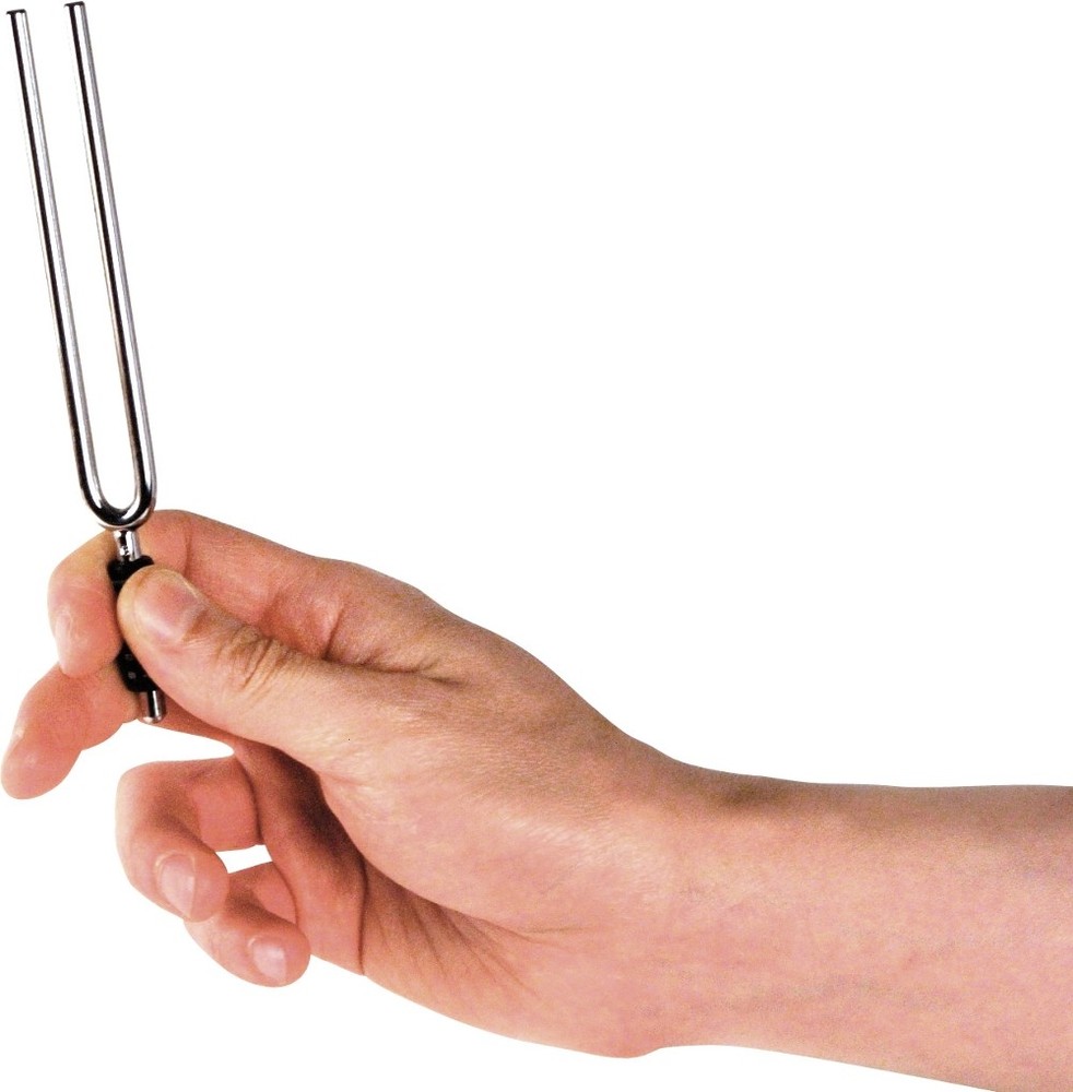 D'Addario Planet Waves Tuning fork E