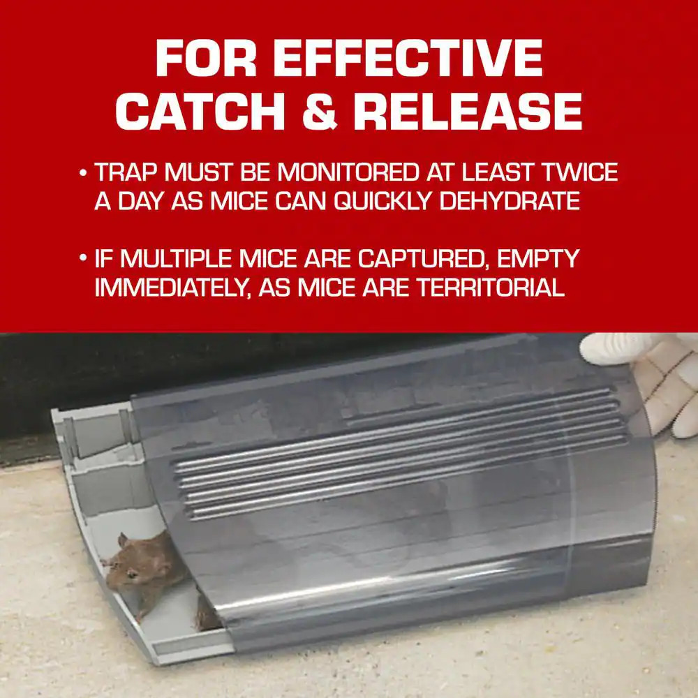 Multi-Catch Mouse Trap