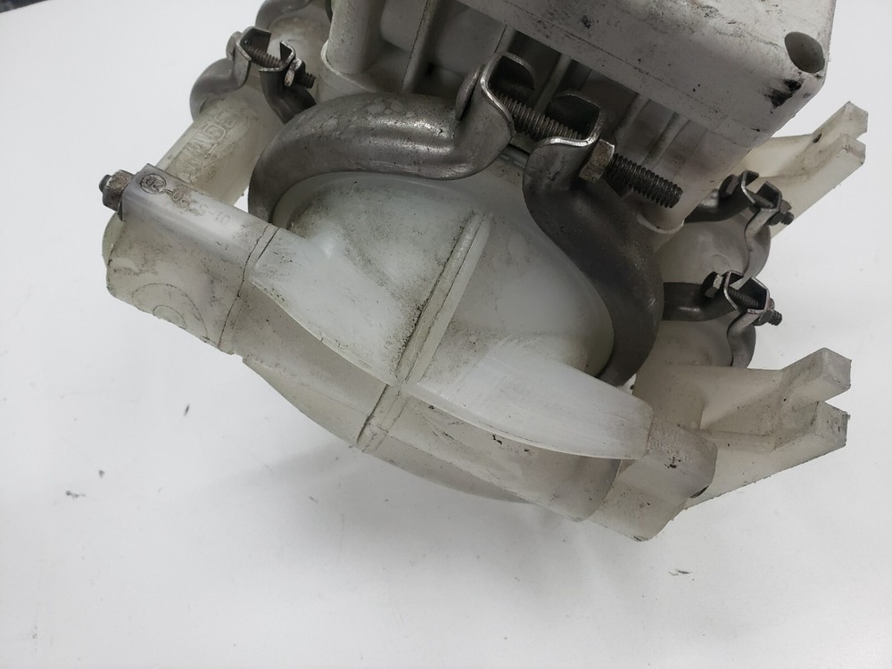 Wilden P1 Diaphragm Pump 01-3181-20