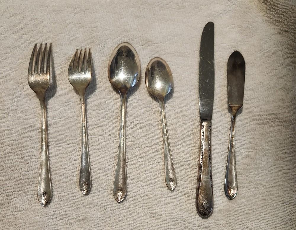 Wm Rogers & Son IS Silver Plate Flatware Set 48 Pcs Vintage