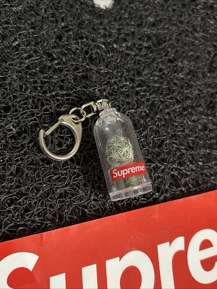 Supreme Cactus Keychain Box Logo SS18