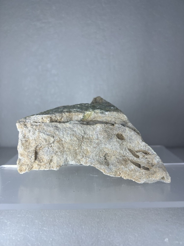 3 sided Wavelite with Visible Fossil Imprints