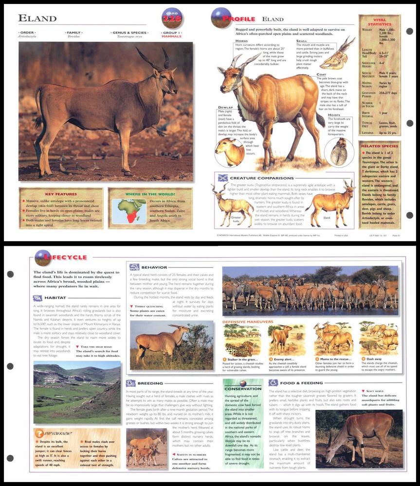Fold-Out Sheet - Eland - 228