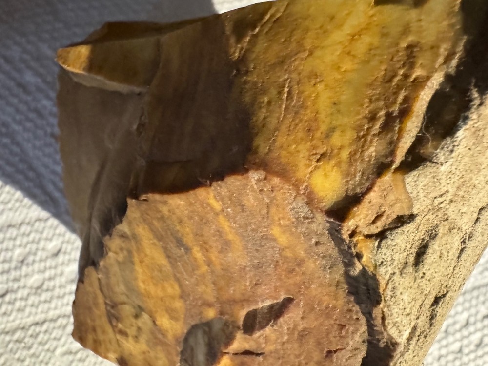 Petrified Wood