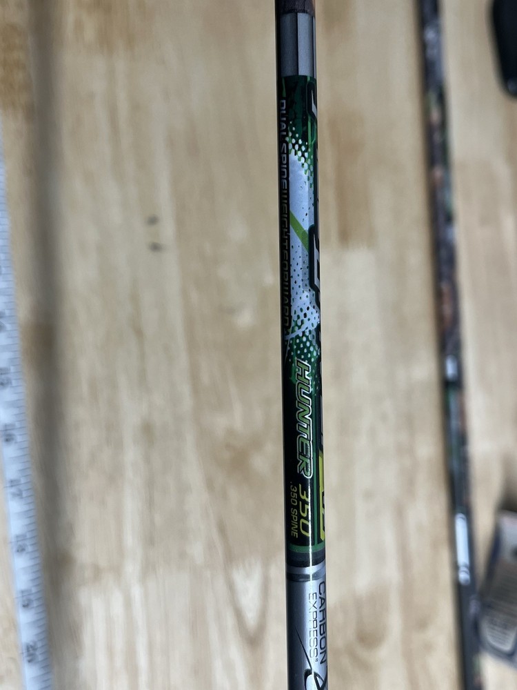Carbon Express Piledriver DS Hunter 350