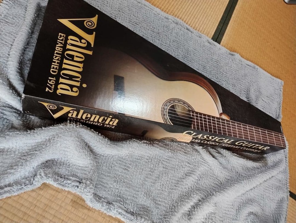 Valencia VCH Nylon String Guitarmm Nut Standard Size Near Mint
