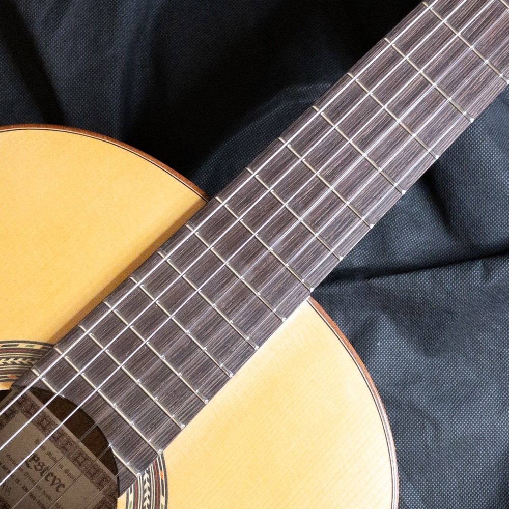 Esteve Organic Eco-Series Solid Spruce Top Classical Guitar
