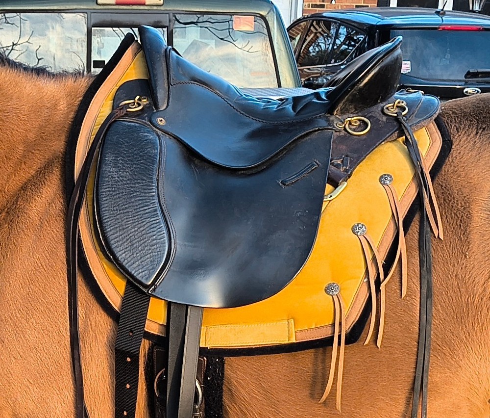 Tucker Plantation Saddle size 15.5 used