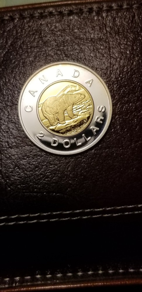 Canada 2000 Silver Proof Gem $2 Gold Plated Rare.