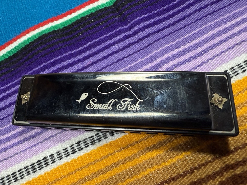 Small Fish Beginners Harmonica Harp 10 Hole Diatonic 10 Hole