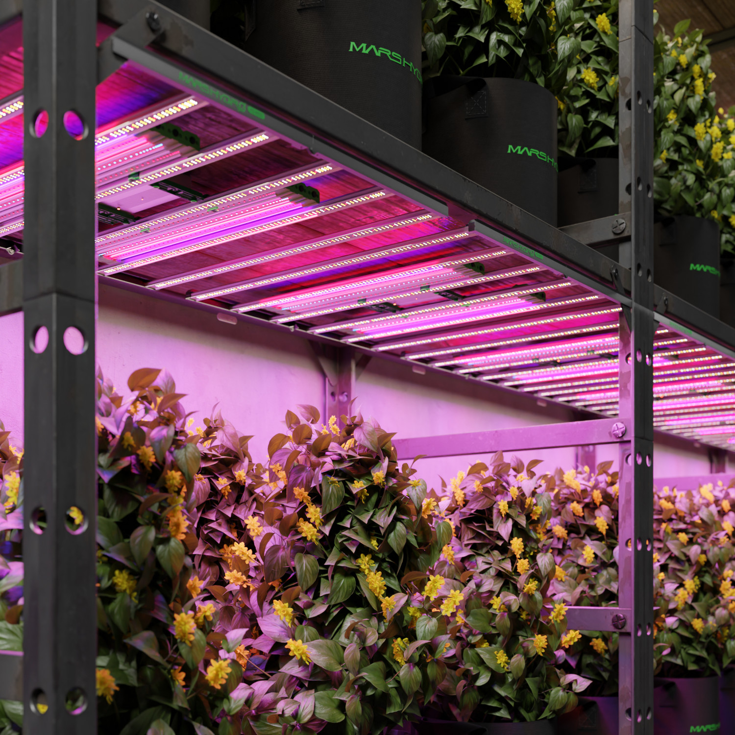 Mars Hydro ADlite UV IR/Deep Red Blue LED Grow Light Bars