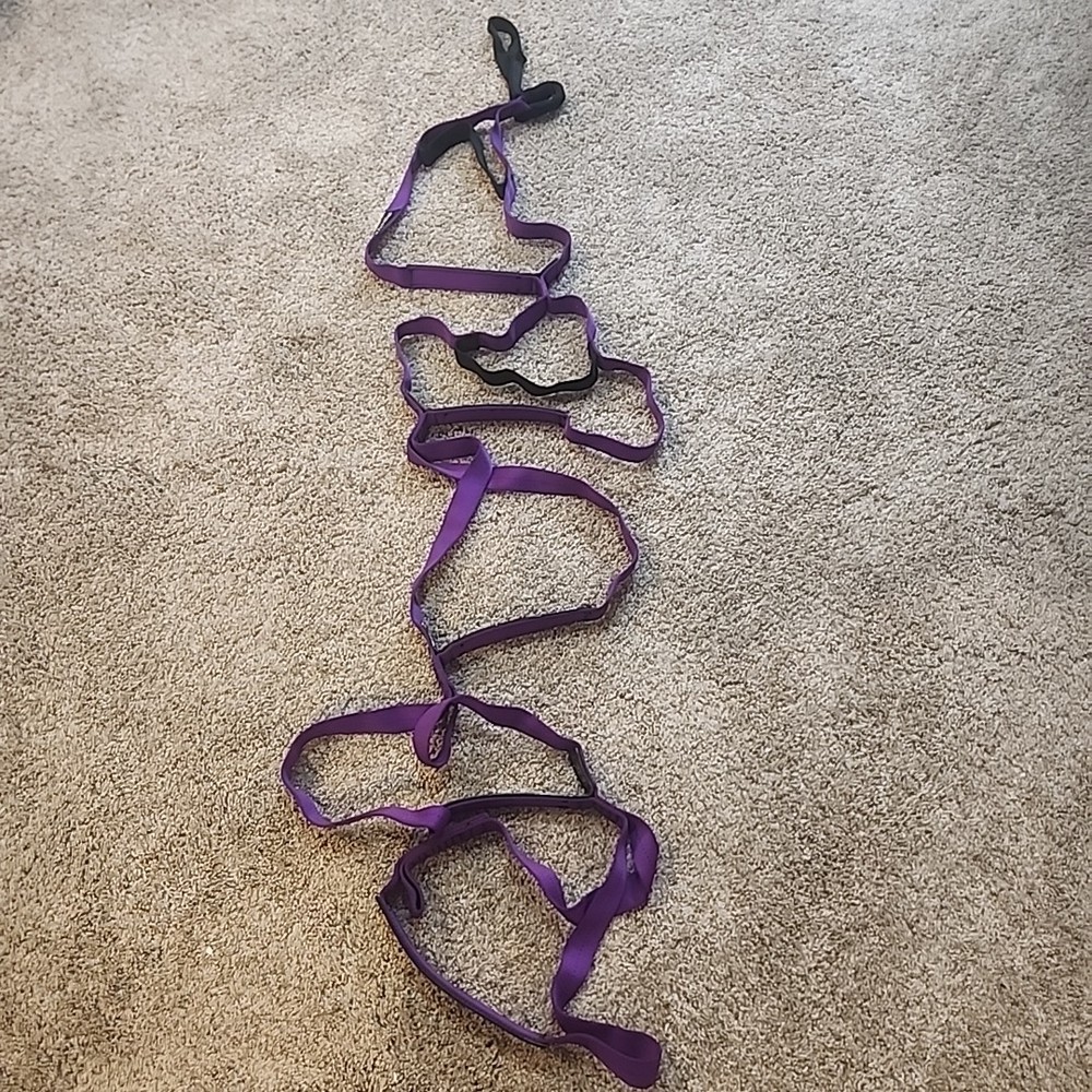 Metolius Alpine Aider 1in Purple 5 Step, 72in